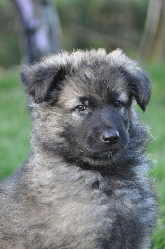 45696703_2108889342465303_9017618454559064064_n