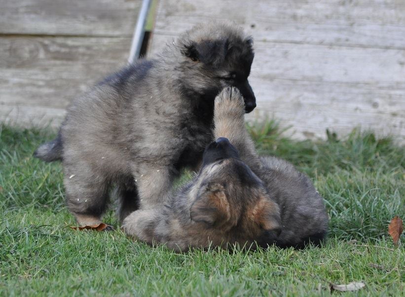 45711723_2108889045798666_5722957210825261056_n