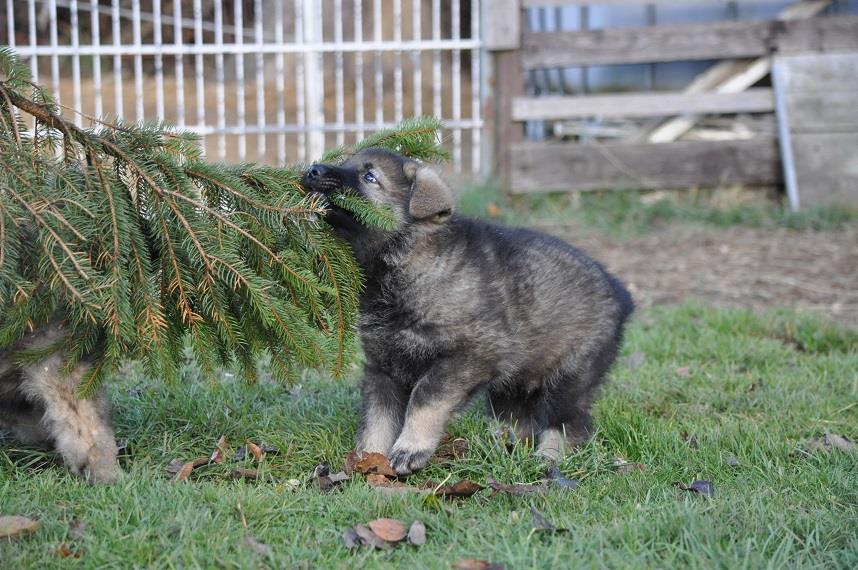 45748893_2108888919132012_4290503411935215616_n