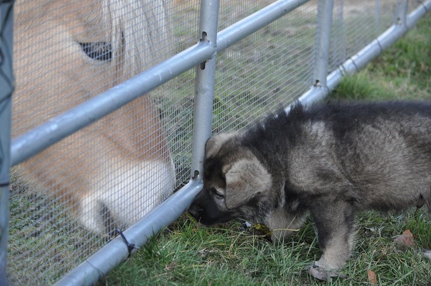 45772532_2108889525798618_6818989090457780224_n