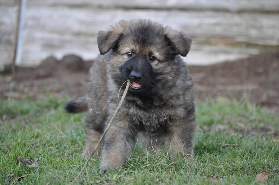 45788054_2108888889132015_9012807910798917632_n