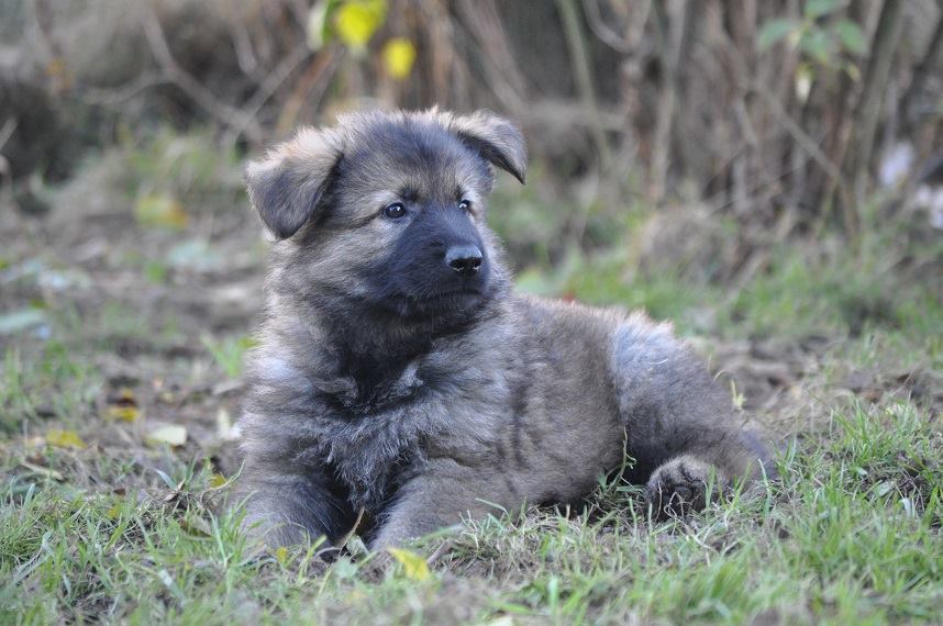 45800827_2108889189131985_8039347981113098240_n