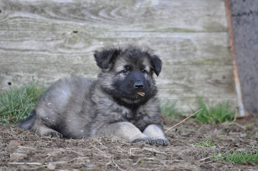 45838335_2108889175798653_617001433941671936_n