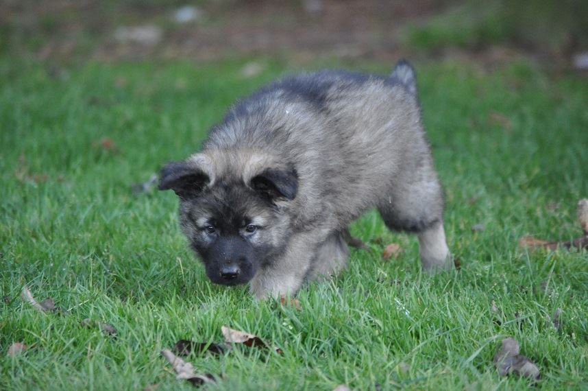 45950183_2108889495798621_7753620342534307840_n