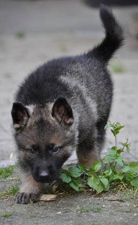 482141_4506474666438_1548155897_n