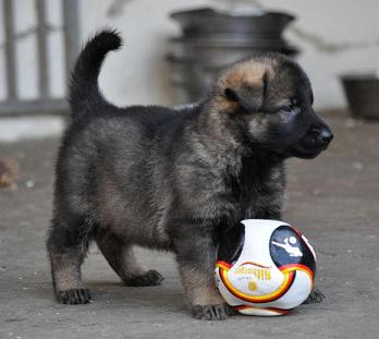 484497_4506474466433_1132175176_n