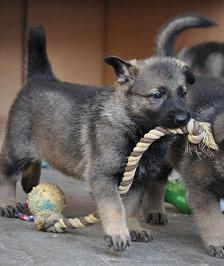 486567_4506474346430_649311891_n