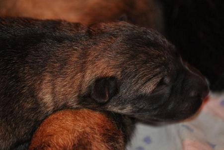 529175_4321588764406_657463224_n