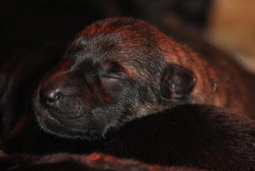 531407_4321589084414_846138541_n