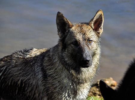 534067_3919100622454_1427671287_33542569_318515904_n