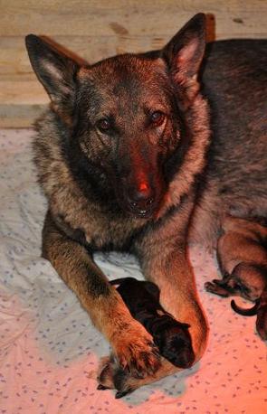 534822_4321590084439_2027637722_n