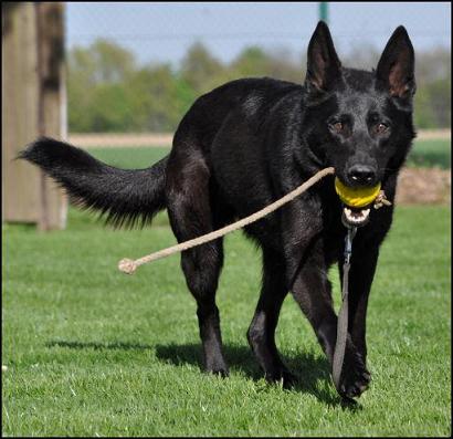 543488_3964317992860_1427671287_33552121_1552604120_n 543488_3964317992860_1427671287_33552121_1552604120_n