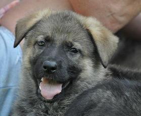 546726_4559753478375_1866017245_n