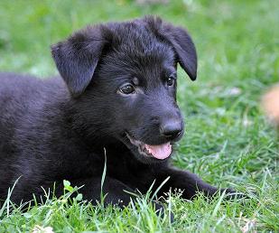 547155_4559752478350_752550102_n