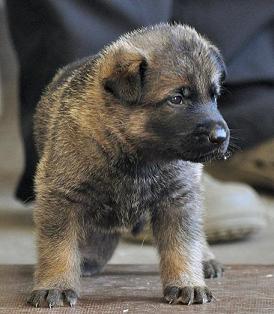 564528_4447610354867_1990159552_n