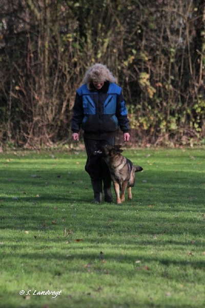 7e8e36424a6f093dffff805effffffef