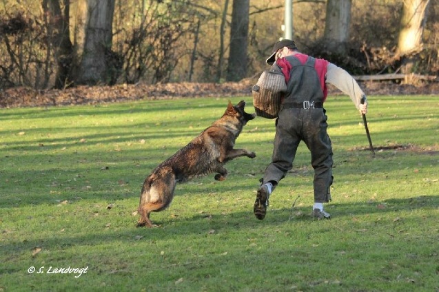 7e8e36424a6f093dffff8085ffffffef