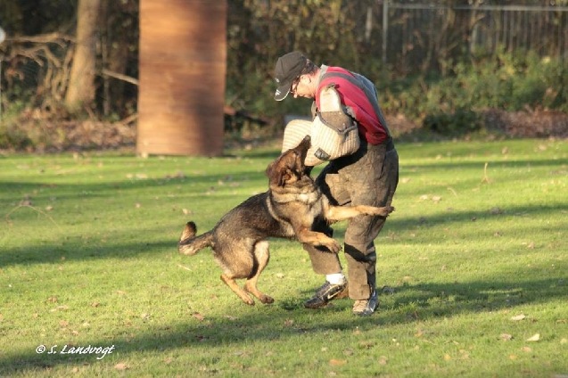 7e8e36424a6f093dffff8086ffffffef