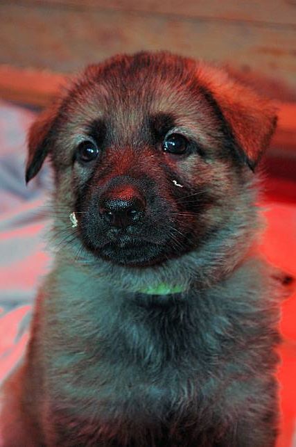 7e8e36424a6f093dffff8086ffffffef