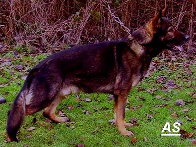 Accim_3_kl Accim_3_kl