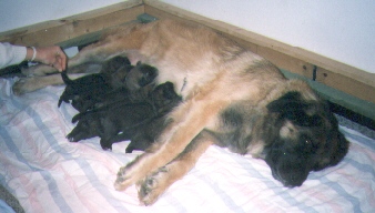 Arielle_in_Wurfkiste1