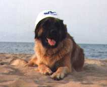 Arielle_m__Kappe Arielle_m__Kappe