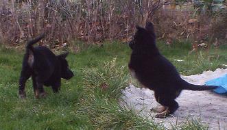 Celine_und_Ciara_spielen_7_W_