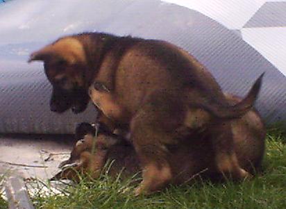 Cliff_und_Claudia_7_W_