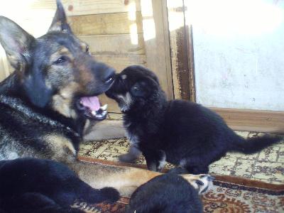 Yurta_und_Britney_spielen_4_W_kl