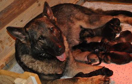 a_252598_4321589604427_2018502962_n