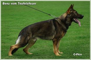 gXsRN130AhCUTJHvZJa-YqQ0GNaHZH7bM_lW-475iNg,