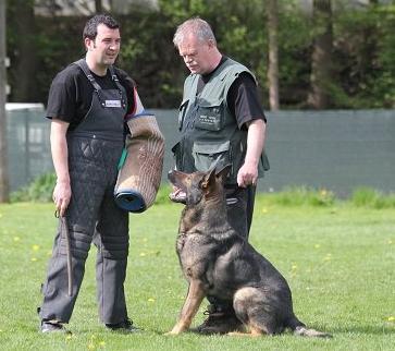 günter mit drago günter mit drago